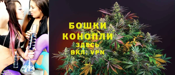 твердый Аркадак