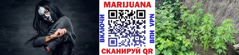 наркотики  Багратионовск  Марихуана AK-47 